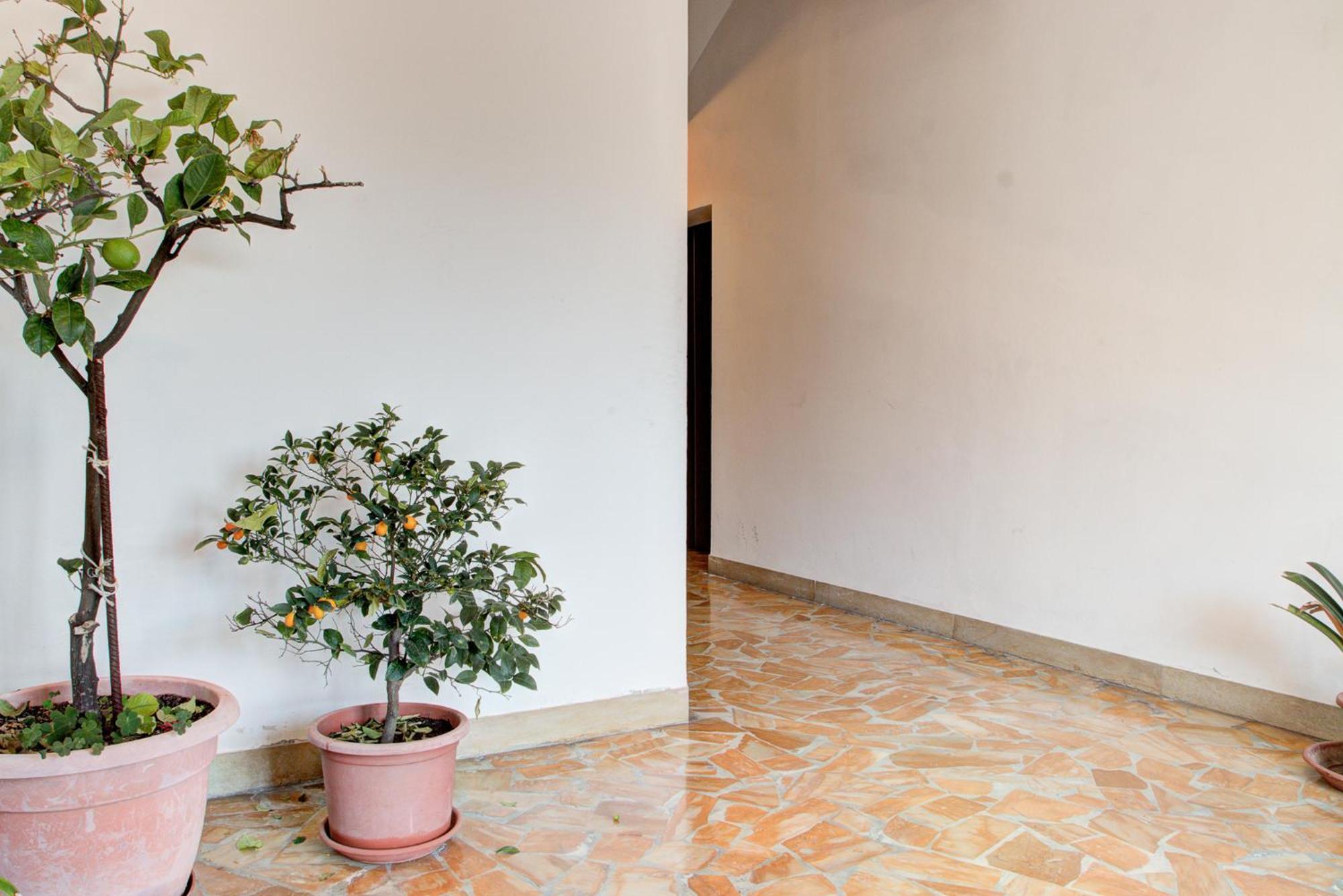 Apartamento Casa Emilia Volterra Exterior foto